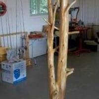 Rustic White Cedar Pole w/bird feeder for sale in Phillips WI by Garage Sale Showcase member WR5882JHH, posted 07/01/2018