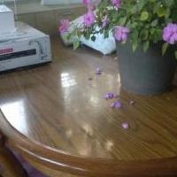 Table and chairs for sale in Clare County MI by Garage Sale Showcase member Snickers@105, posted 09/21/2018