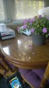 Table and chairs for sale in Clare County MI