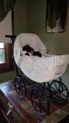 Vintage doll carriage for sale in Brick NJ