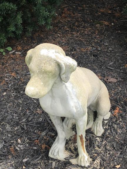 Concrete Lab Statue for sale in Circleville OH